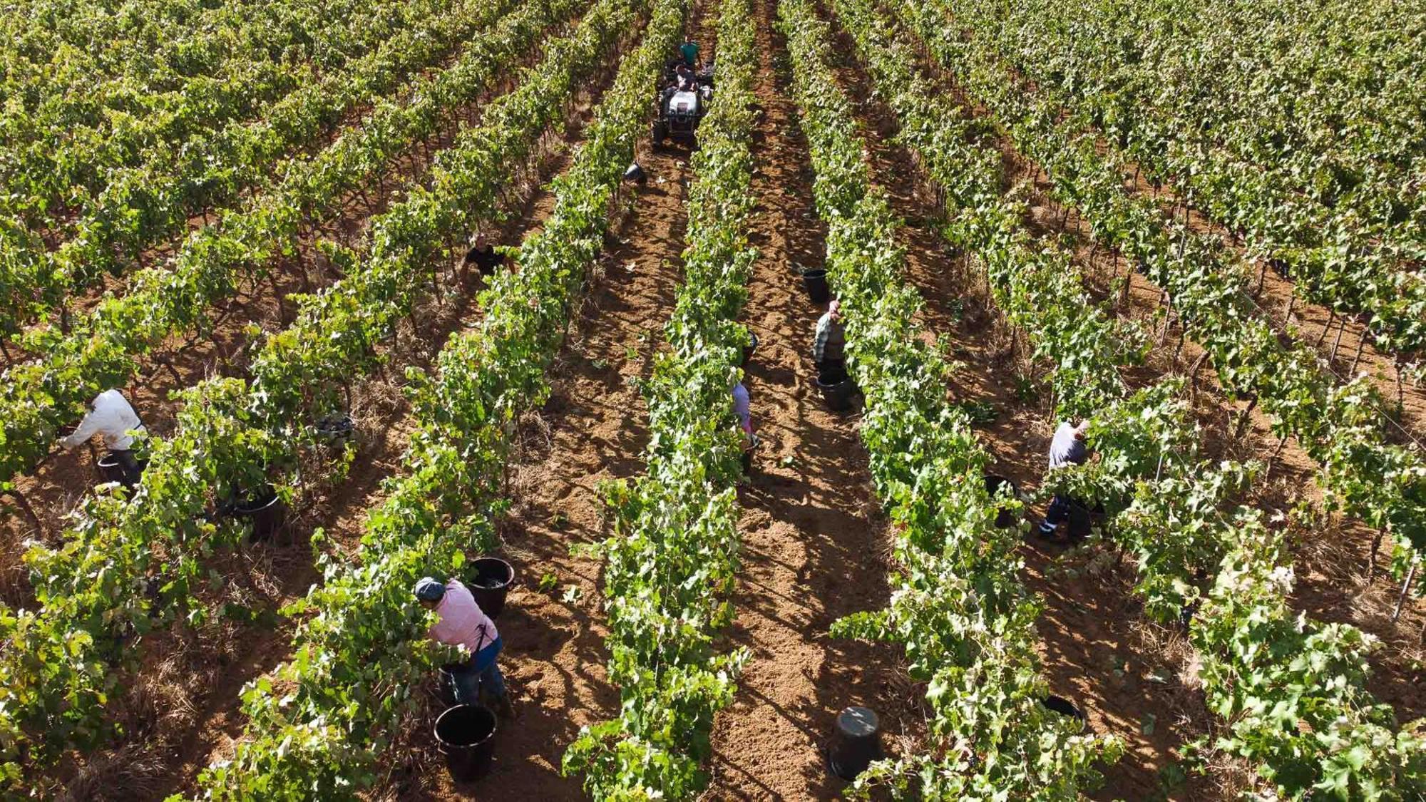 Tenuta Doxi Gallipoli Zewnętrze zdjęcie
