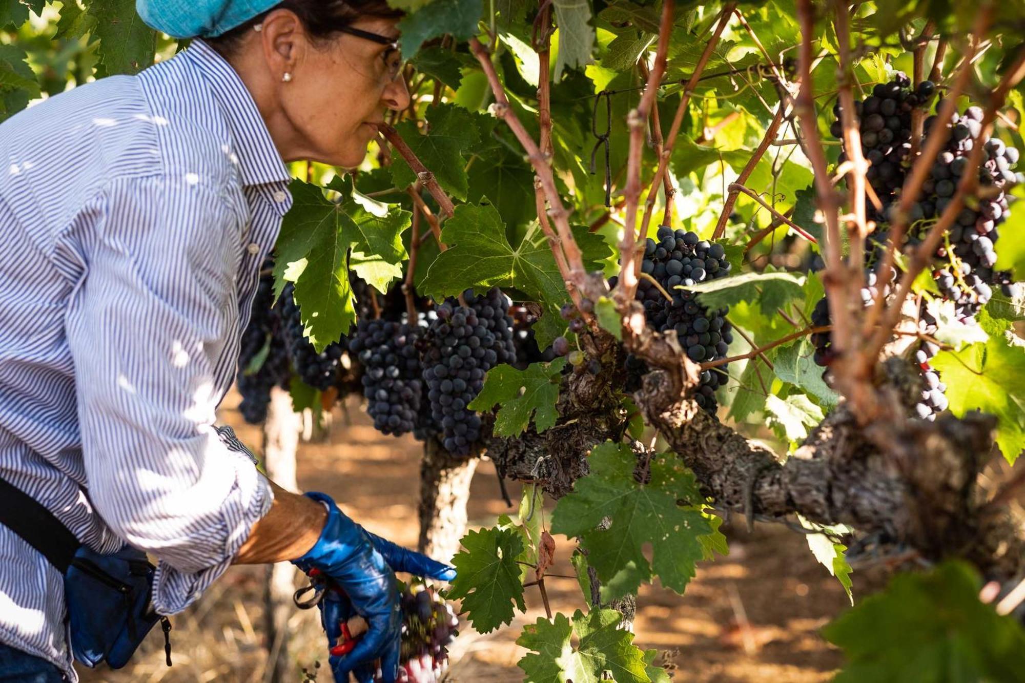 Tenuta Doxi Gallipoli Zewnętrze zdjęcie