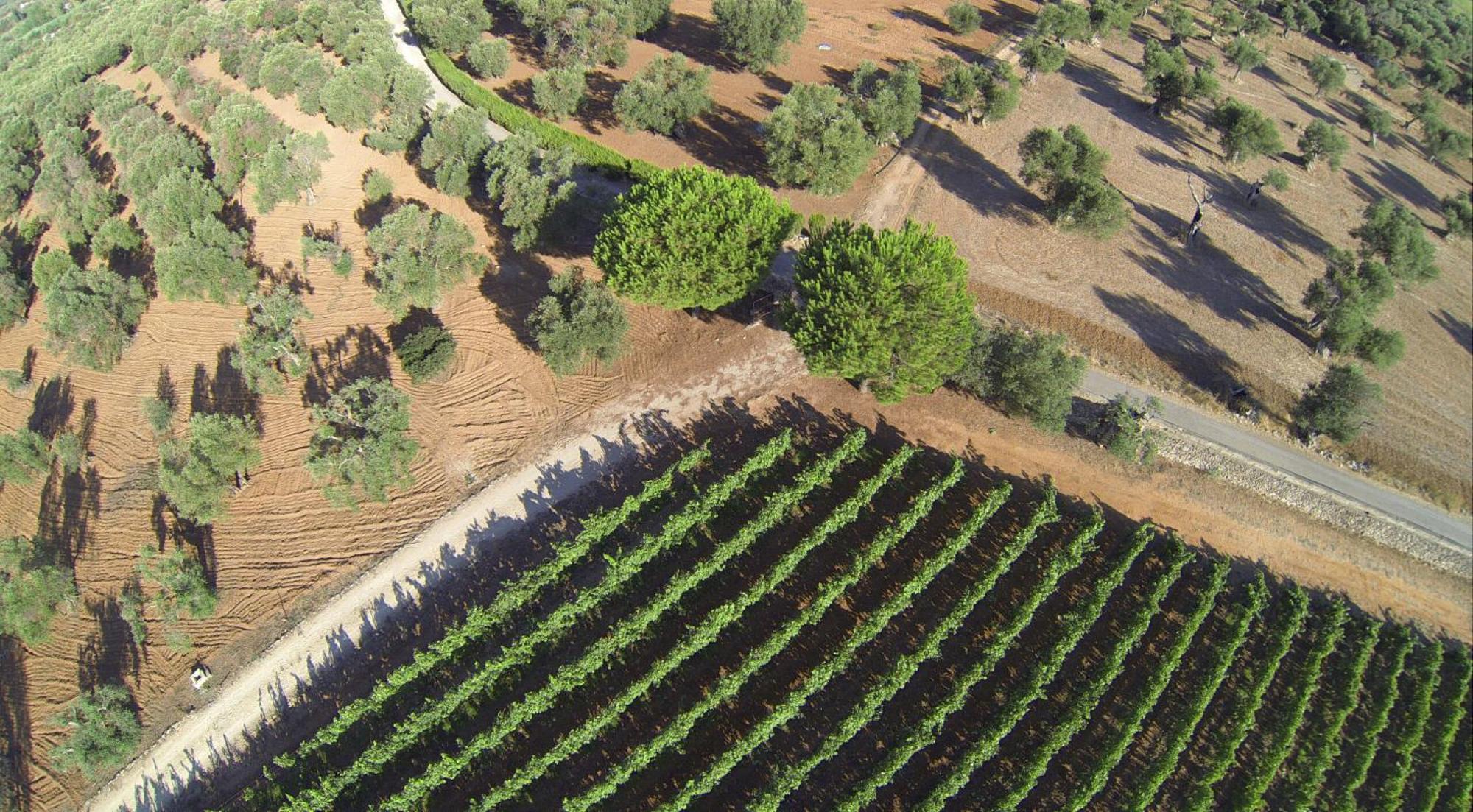 Tenuta Doxi Gallipoli Zewnętrze zdjęcie